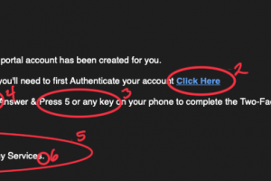 Scam of the Month: Authenticate Your Account