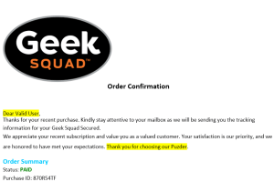 Scam of the Month: Geek Squad Customer Service